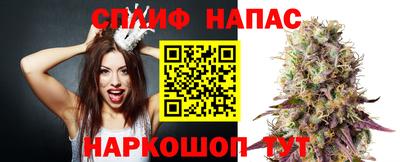 мяу мяу мука Брянск
