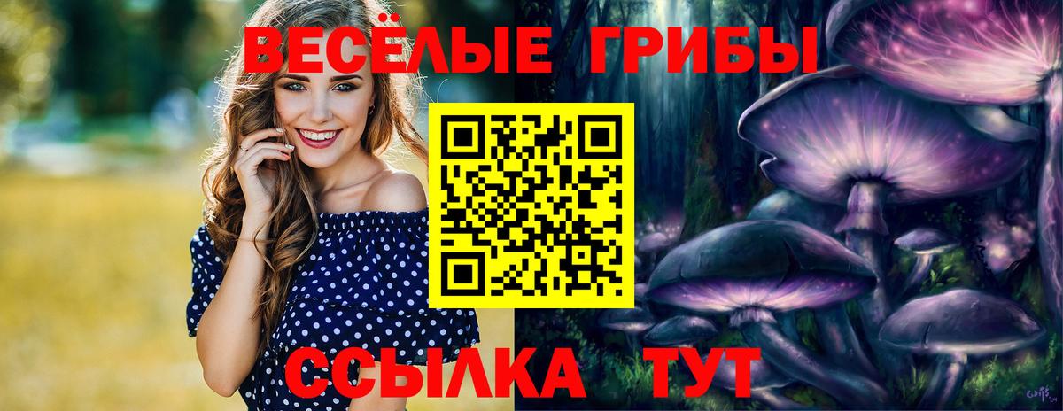 Фурманов  Галлюциногенные грибы MAGIC MUSHROOMS  Галлюциногенные грибы GOLDEN TEACHER  хочу   Вход с VPN 