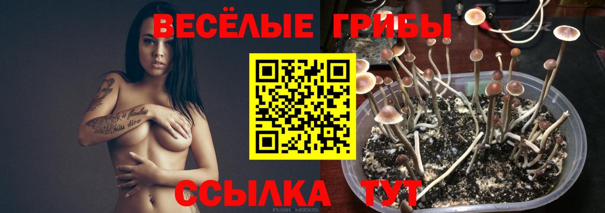 Псилоцибиновые грибы MAGIC MUSHROOMS Фурманов